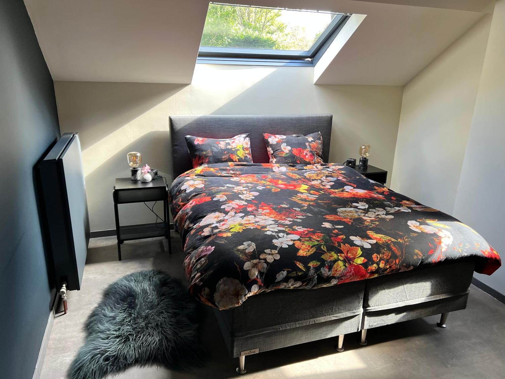 Ikigai Bed & Breakfast Oud-Turnhout Exterior foto