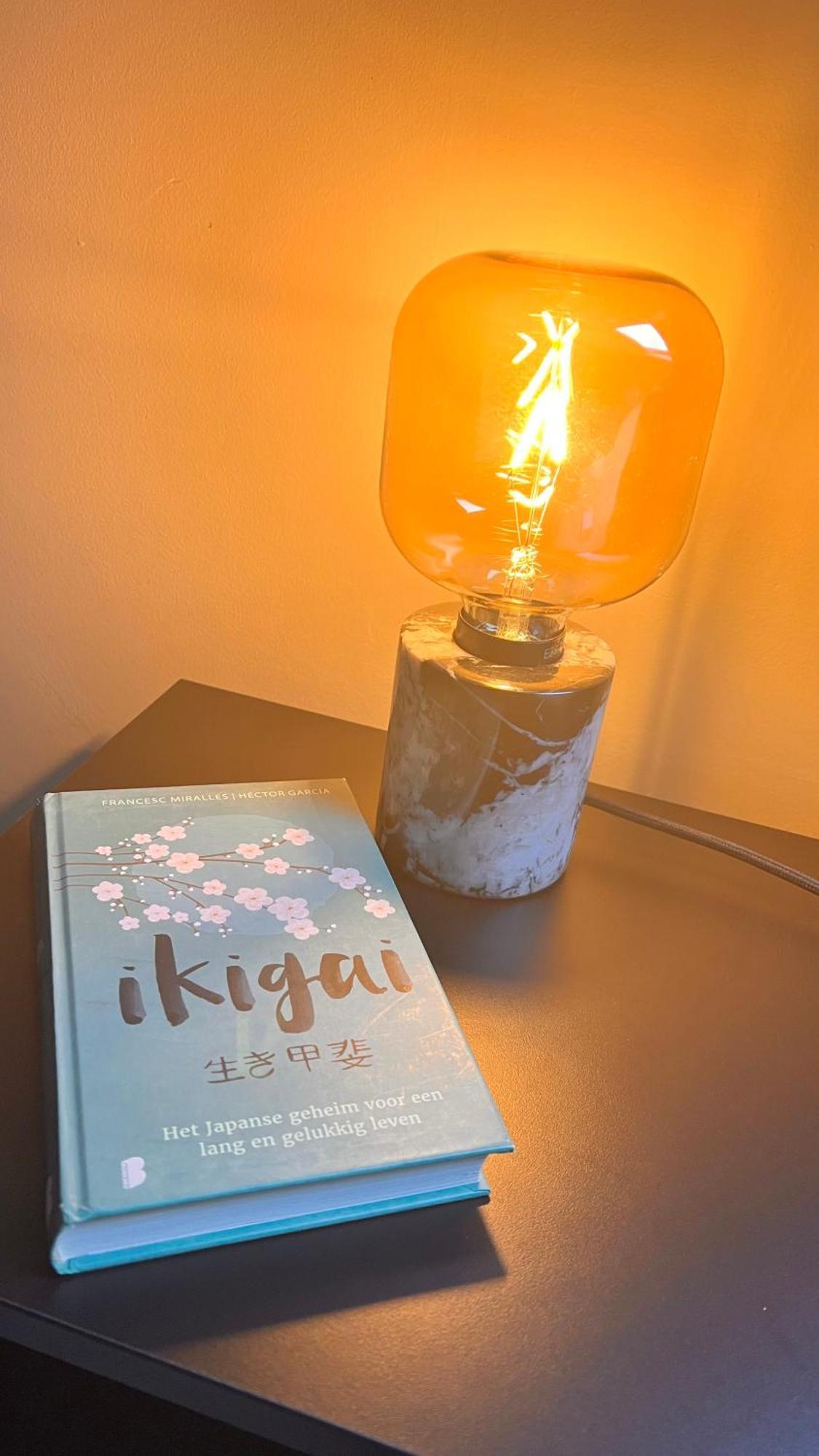 Ikigai Bed & Breakfast Oud-Turnhout Cameră foto