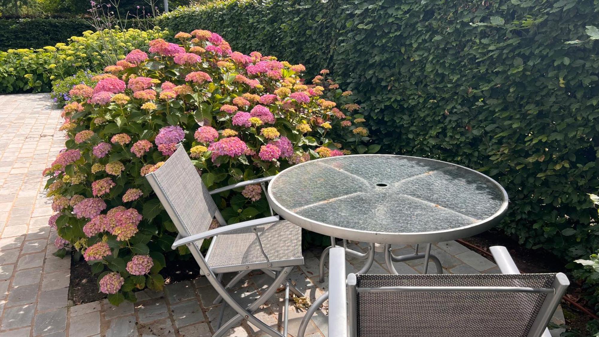 Ikigai Bed & Breakfast Oud-Turnhout Exterior foto