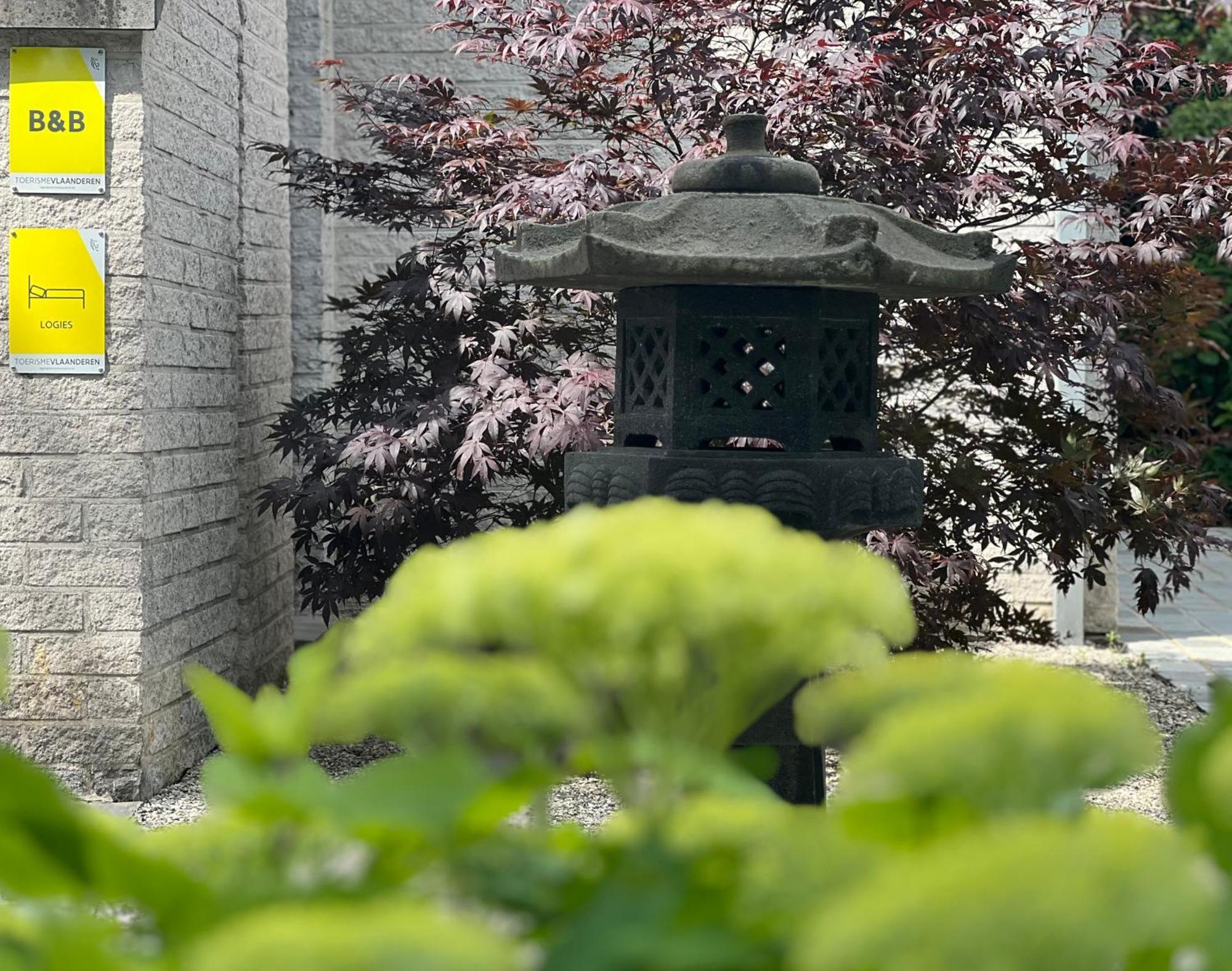 Ikigai Bed & Breakfast Oud-Turnhout Exterior foto